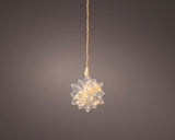 Lumineo Micro LED Stern mit Trockenblumen ø 19cm