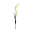Dijk natural collections pluim kunststof 78x10x3cm wit