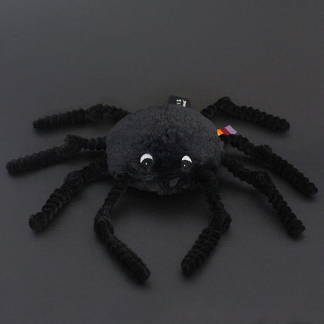 Ptipotos die schwarze Spinne 15 cm