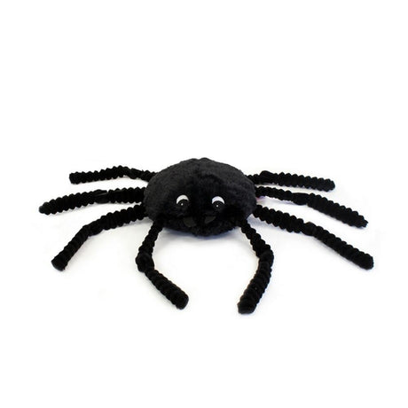 Ptipotos die schwarze Spinne 15 cm