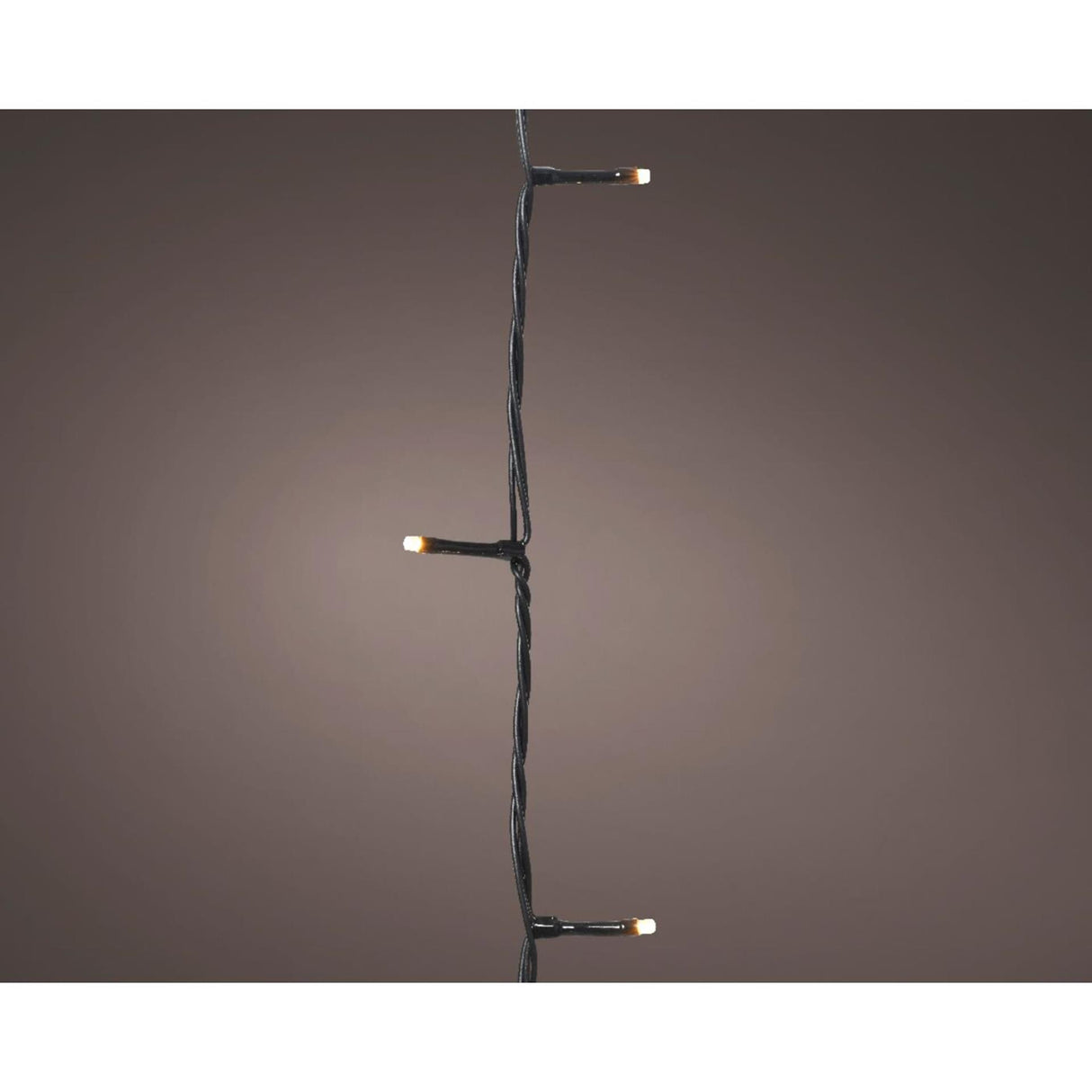 Lumineo Basic Weihnachtsbeleuchtung 240led Champagner
