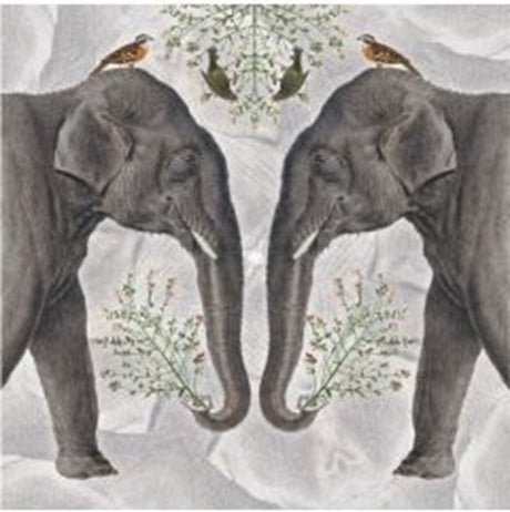 Karte+Umschlag Indischer Elefant. 16x16 cm