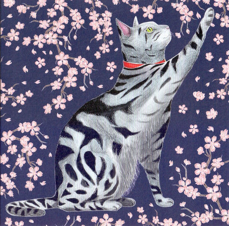 Karte+Umschlag. Sakura-Kätzchen. 16x16 cm