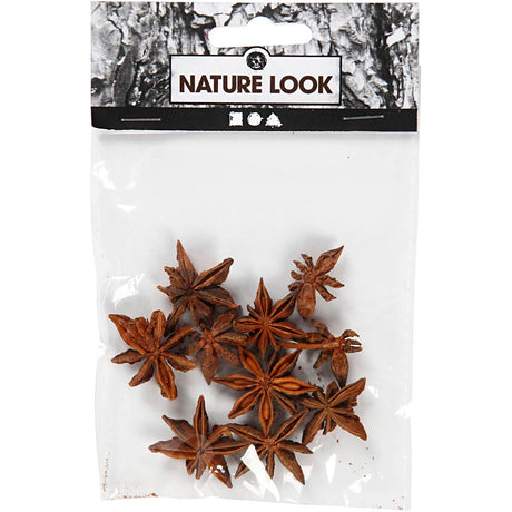 Kreativunternehmen https: www.cchobby.nl star-anise-10-piece-1-box