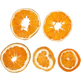 Https: www.cchobby.nl dry-orange-pieces-d-40-60-mm-5-piece-1-box