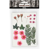 Kreativunternehmen https: www.cchobby.nl dry-flowers-and-leaves-ca-19-piece-lightred-1-box