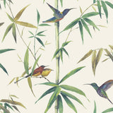 Nordwand Noordwand Wallpaper Kolibri und Bambus Ecruu