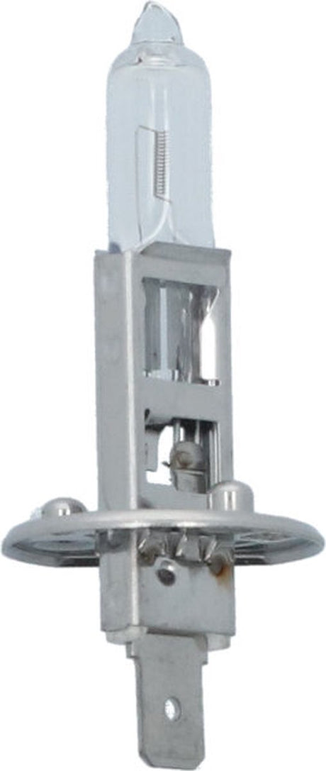 Carpoint ultrahelle Autolampe H1 12 V 55 W – superweißes Licht – energieeffizient – einfache Installation