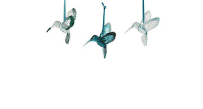 Kolibrie polystyreen transparent, iris, transpa with glitter 3ass emerald l.9.5cm x w.7.1cm x h.9cm