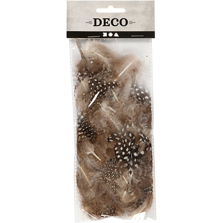 Kreativunternehmen https: www.cchobby.nl Feathers-of-pearl-fowl-ca-100-piece-brown-3-gr-1-doos
