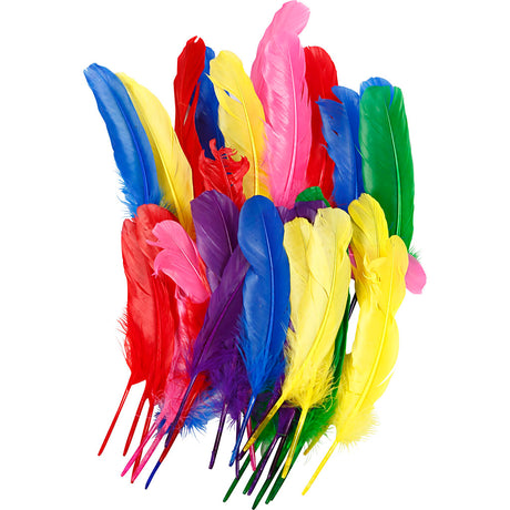 Kreativunternehmen https: www.cchobby.nl federn-l-20-cm-verschiedene-farben-36-stück-1-box