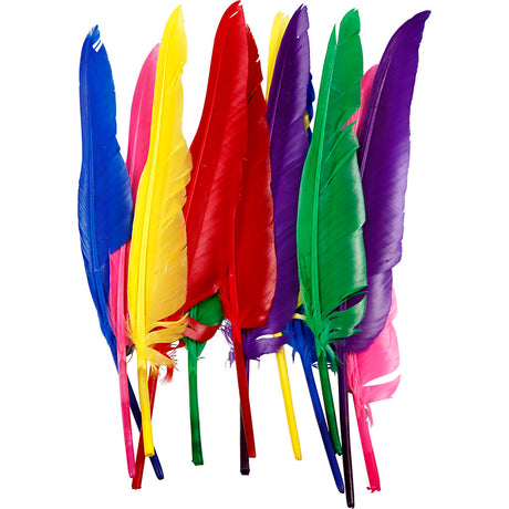Kreativunternehmen https: www.cchobby.nl Federn-l-27-cm-verschiedene-Farben-12-teilig-1-Box