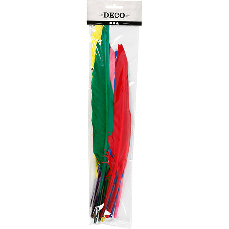 Kreativunternehmen https: www.cchobby.nl Federn-l-27-cm-verschiedene-Farben-12-teilig-1-Box