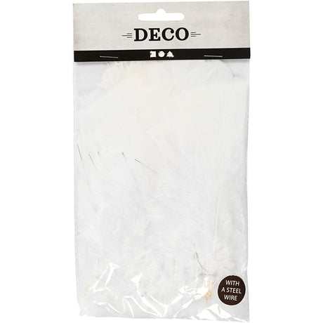 Kreativunternehmen https: www.cchobby.nl Feathers-Size-11-17-cm-White-18-Ball-1-Doos