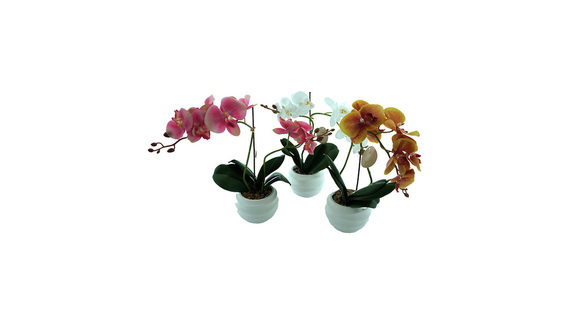 Orchidee zijde in pot 3 assortie 40cm