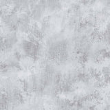 Niederländische Wandverkaufswallpaper Betongrau
