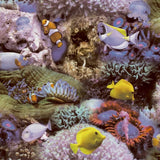 Noordwand Tapete Gute Stimmung Korallen und tropische Fische Geel und Lila