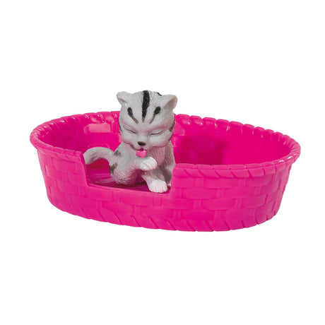Evi liebt tierliebe Kätzchen