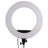 Studioking LED-Ringlampe LED-480AK auf 230 V