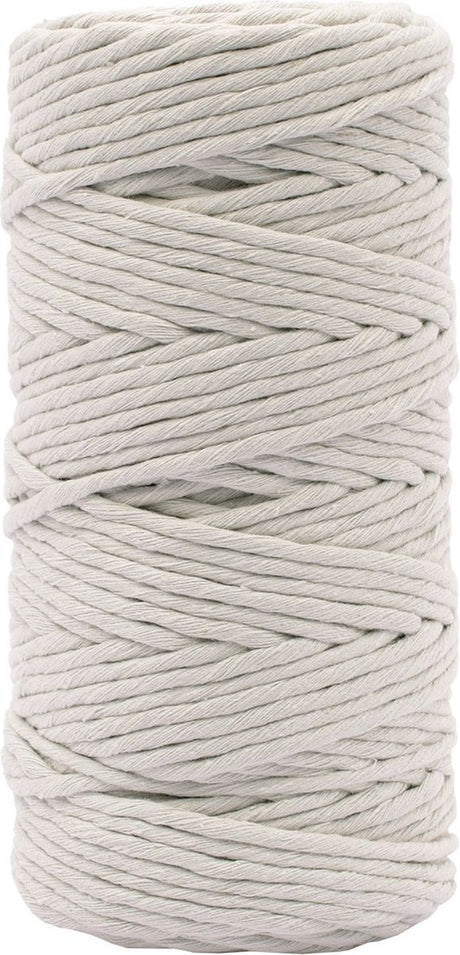 Vaessen creative macrame touw - lichtgrijs - 3mmx100m