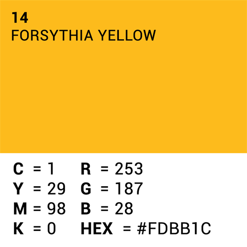 Superior Hintergrundpapier 14 Forsythia gelb 1,35 x 11 m