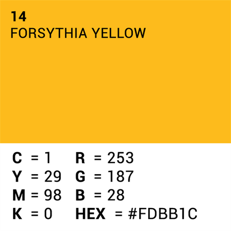 Superior Hintergrundpapier 14 Forsythia gelb 1,35 x 11 m