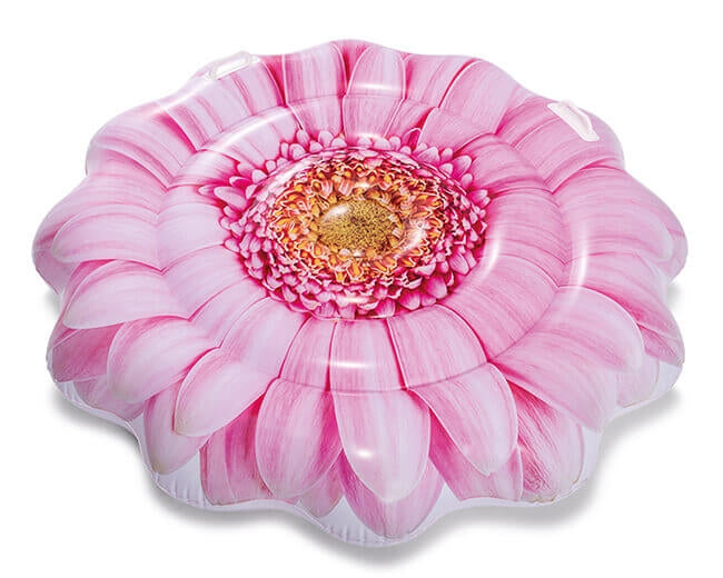 Pink Daisy lufte