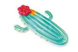 Intex Cactus lufte
