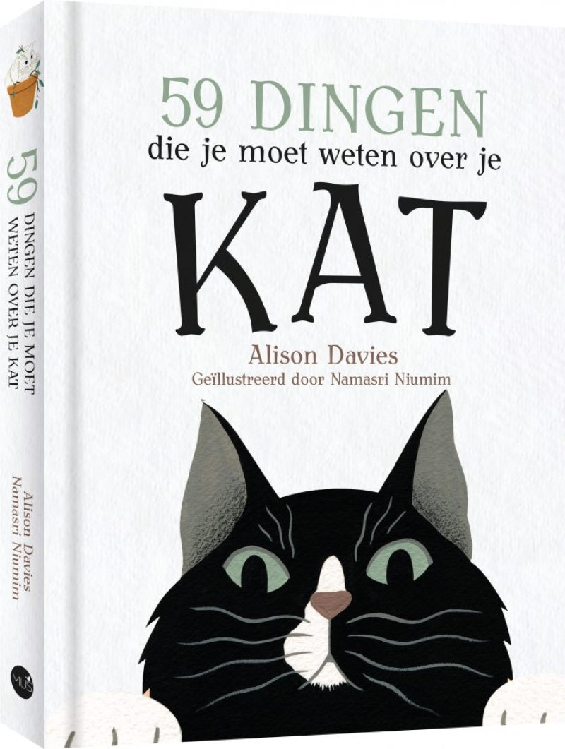 Sparrow 59 Dinge, die Sie über Ihre Katze wissen müssen
