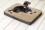 Sun Garden Orthopädisches Hundekissen Sun Garden Buddy, 120 x 72 x 10 cm, Beige/Dunkelbraun