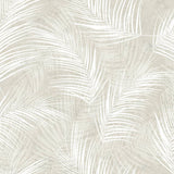 Niederländische Wandverkleidung Tapete Palm Beige