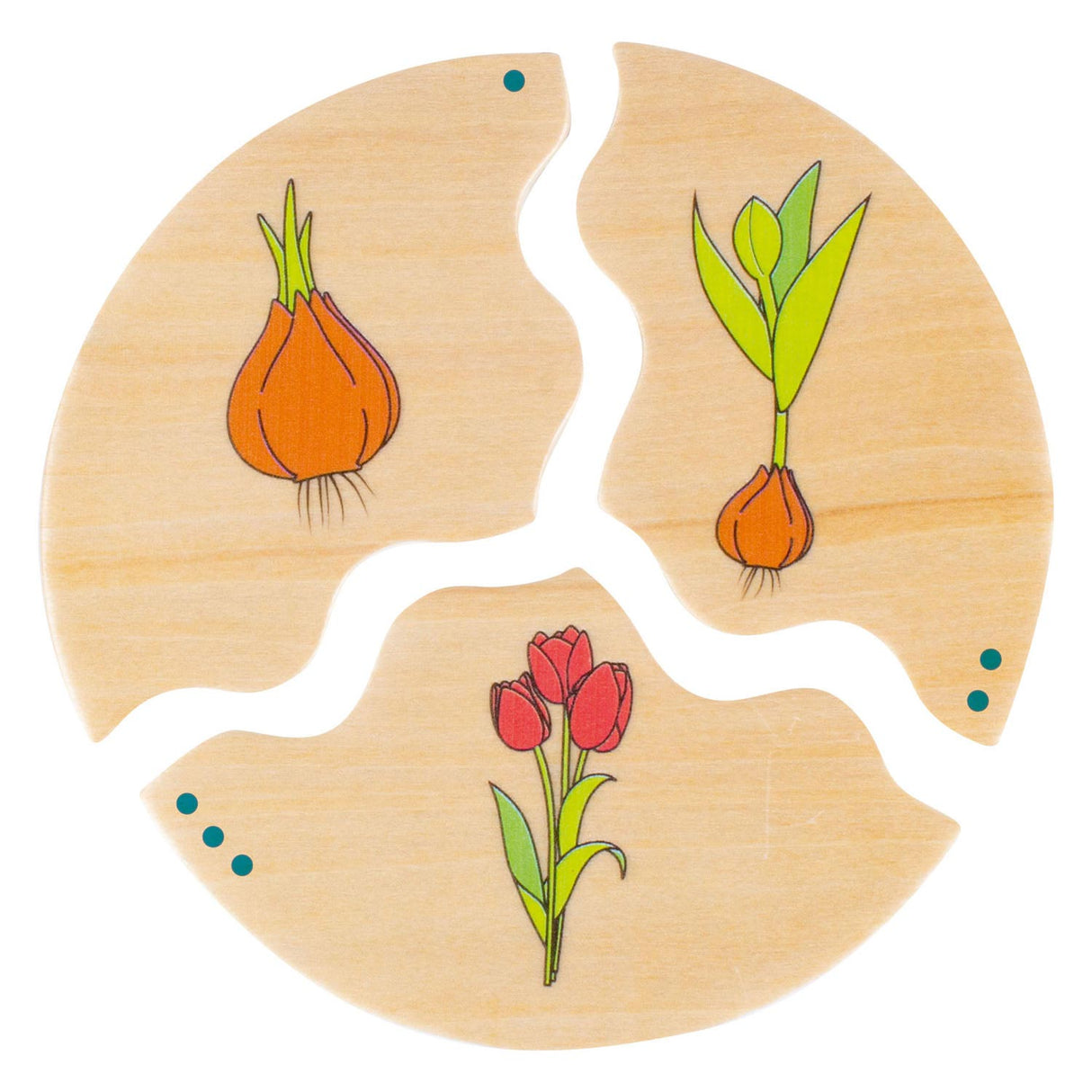 Beleduc Nawito Nature Evolution Kinderspiel aus Holz