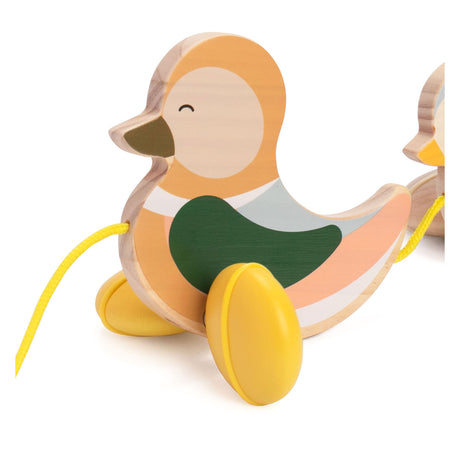 Classic world houten trekeend