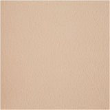 Kreativunternehmen https: www.cchobby.nl hobbyfelt-a4-sheet-210x297-mm-thickness-1-5-2-mm-light-beige-10-sheet-1-box