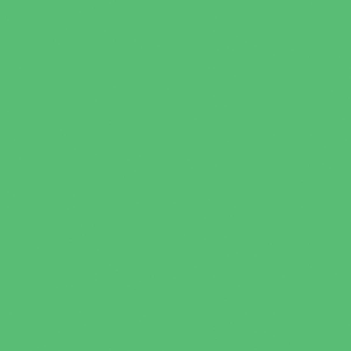 Creativ Company Farbkarton, A4, Blatt 210x297 mm, 180 gr, grasgrün, 20 Blatt 1 Karton