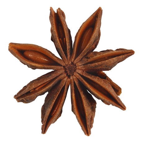 Kreativunternehmen https: www.cchobby.nl star-anise-10-piece-1-box