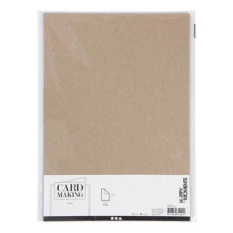 Colortime Karton natur A4 220g, 10 Stk.