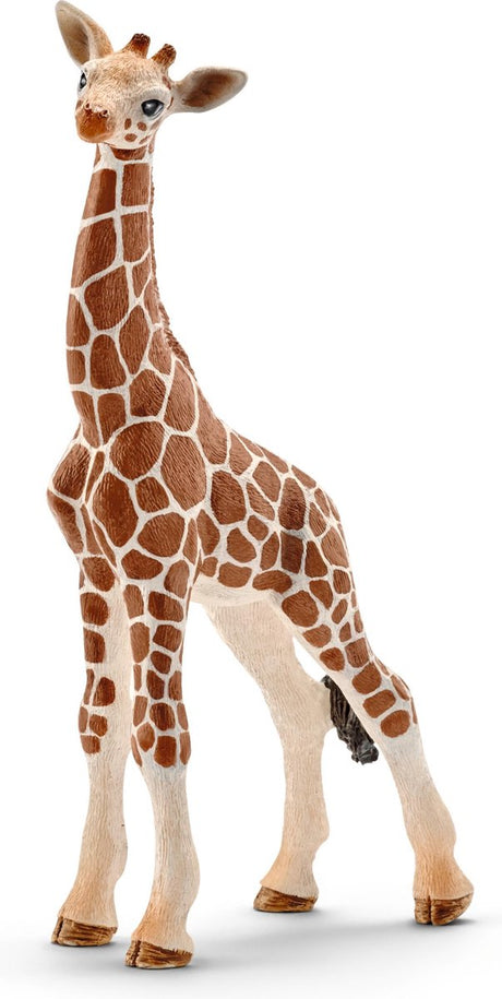 Schleich Wild Life – Baby-Giraffe – Spielfigur – Kinderspielzeug für Jungen und Mädchen – 3 bis 8 Jahre