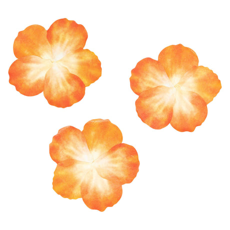Färbung - Washi -Aufkleber - Orangenblätter, 80..