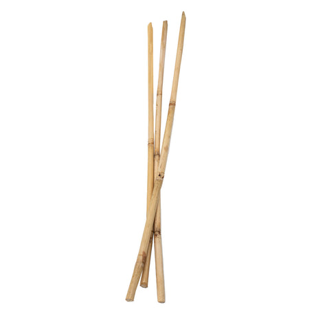 Farbgebiete - Bambusstäbe 50 cm, 3rd.