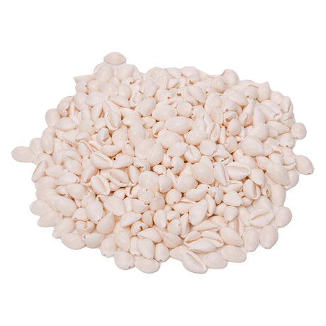 Colorations - seashells cowrie, 300g