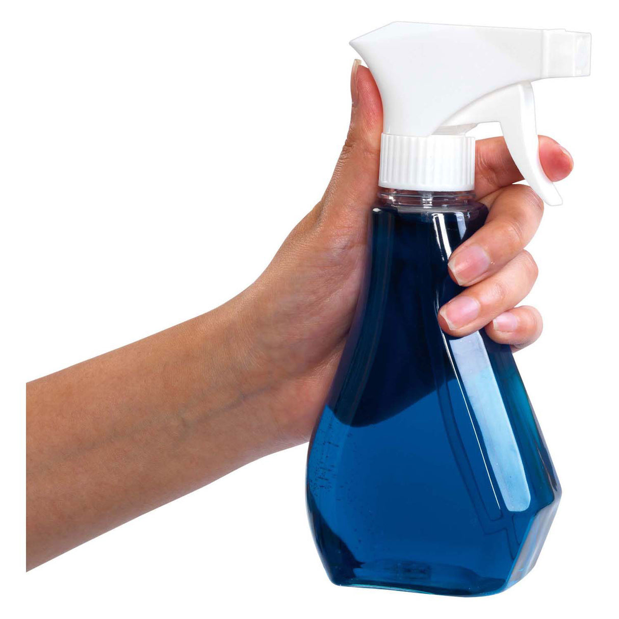 Colorationen - XL-Spray transparent 350 ml, 6 Stk.