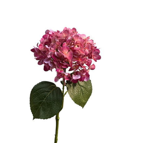 Roberts Collection künstliche Blume Hortensie Real Touch 75 cm lila