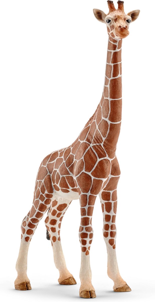 Schleich | 5 Stück