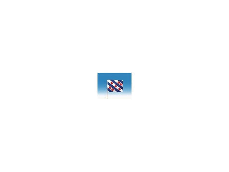 Zwaaivlag fryslan groot 50x70cm + stok