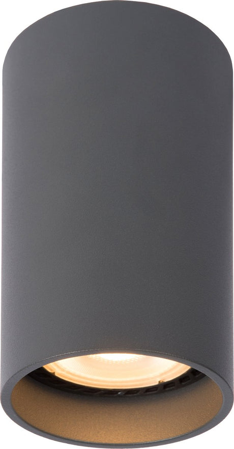 Lucide delto - Deckenstrahler (Deckenleuchte) - ø 5,5 cm - LED dimmen bis warm - GU10 (MR16) - 1x5W 2200K 3000K - Grau