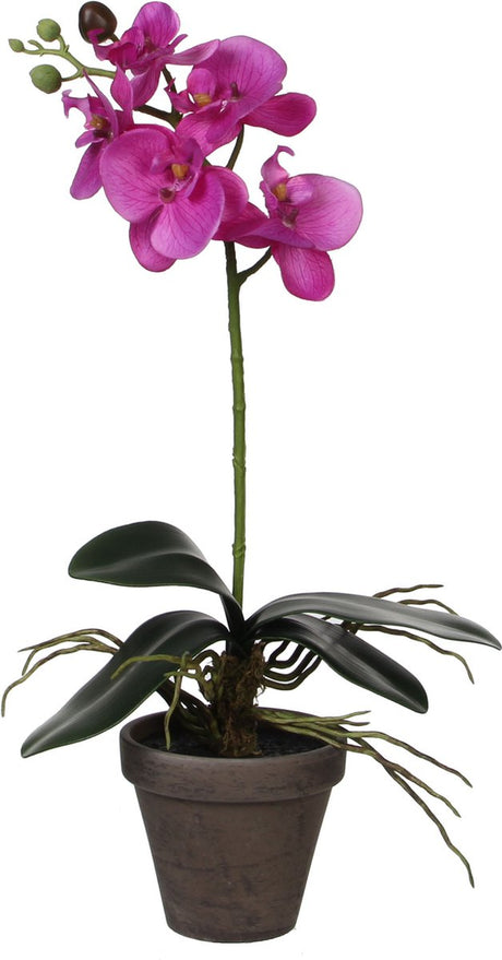 Mica-Dekorationen, künstliche Pflanze – Phalaenopsis-Orchidee – lila – 48 cm – künstliche Pflanzen, künstliche Pflanzen mit Blumen