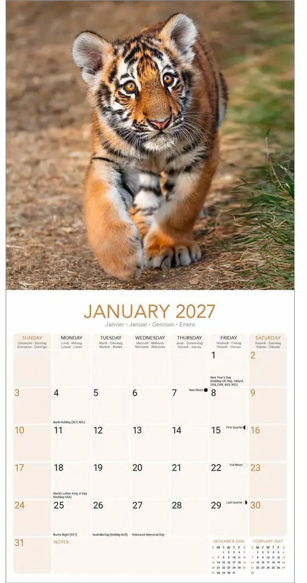 Avonside tijger kalender 2027