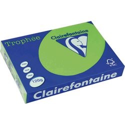 Farbiges Papier Clairefontaine A4 120 g m² Mintgrün 250 Blatt