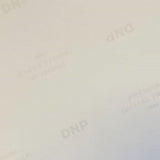 DNP-Standardpapier DSRX1HS-4X6 2 ROLLE � 700 St. 10x15 für DS-RX1HS